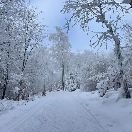 Jirotovy Boudy I Casa vacanze *